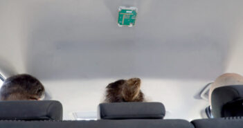 Vayyar offers full-cabin monitoring with one radar-on-chip