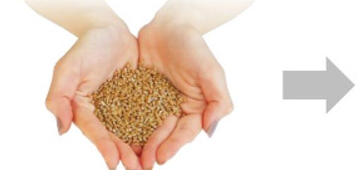 Toyoda Gosei unveils low-carbon, lightweight solution for interior plastics