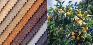 Grupo Antolin and PersiSKIN to co-develop automotive-grade material from fruit waste