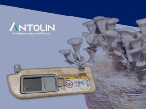 Antolin develops fungi-based material for auto components