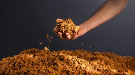 Beyond Leather Materials and Covestro develop bio-based leather alternative Leap Beyond Leather Materials and Covestro develop bio leather alternative