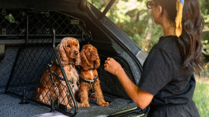 Luxury for four-legged passengers with Bentley’s pet accessory range.