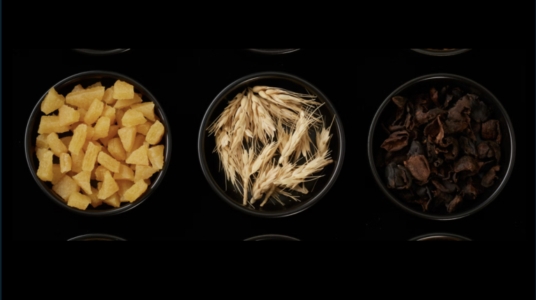 Hyundai CRADLE Partners with UNCAGED Innovations to Develop Sustainable Leather Alternatives.